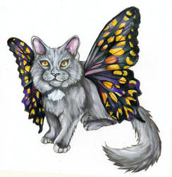 Catterfly