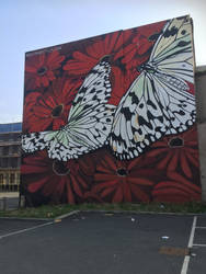 butterfly wall