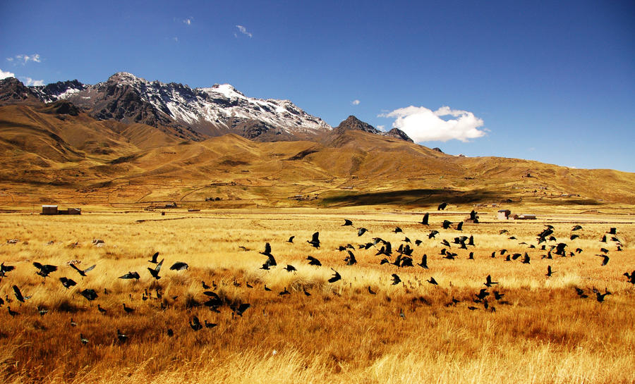 Freeze Time by ranmor on DeviantArt