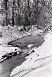 A Hidden Winter Oasis