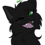 Hollyleaf