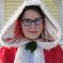 Mrs. Claus Costume