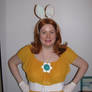 Easter Daisy