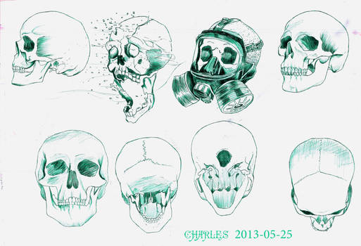 Study of skulls