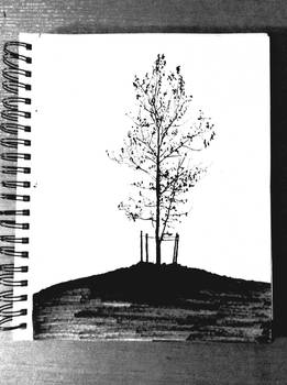 #9 Tree