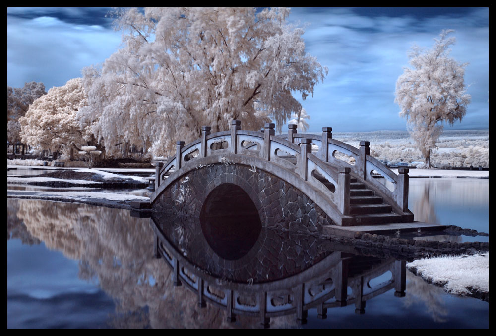 Картинка необычный зима. Мост зимой. Картинки красивые разные необычные зимние. Необычные фото зимы. Ретро мостик зимний круглый.