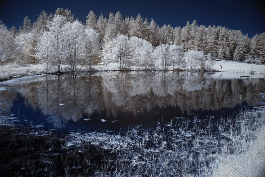 winter pond