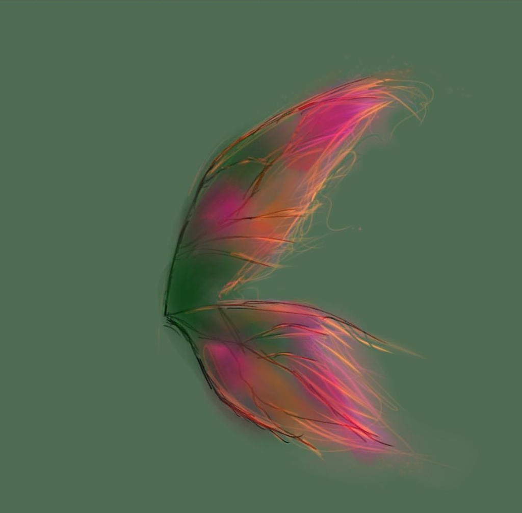 Fairy Wings ( Practice )