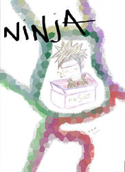 Ninja For SALE