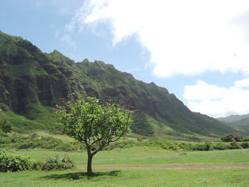 Oahu Mountains