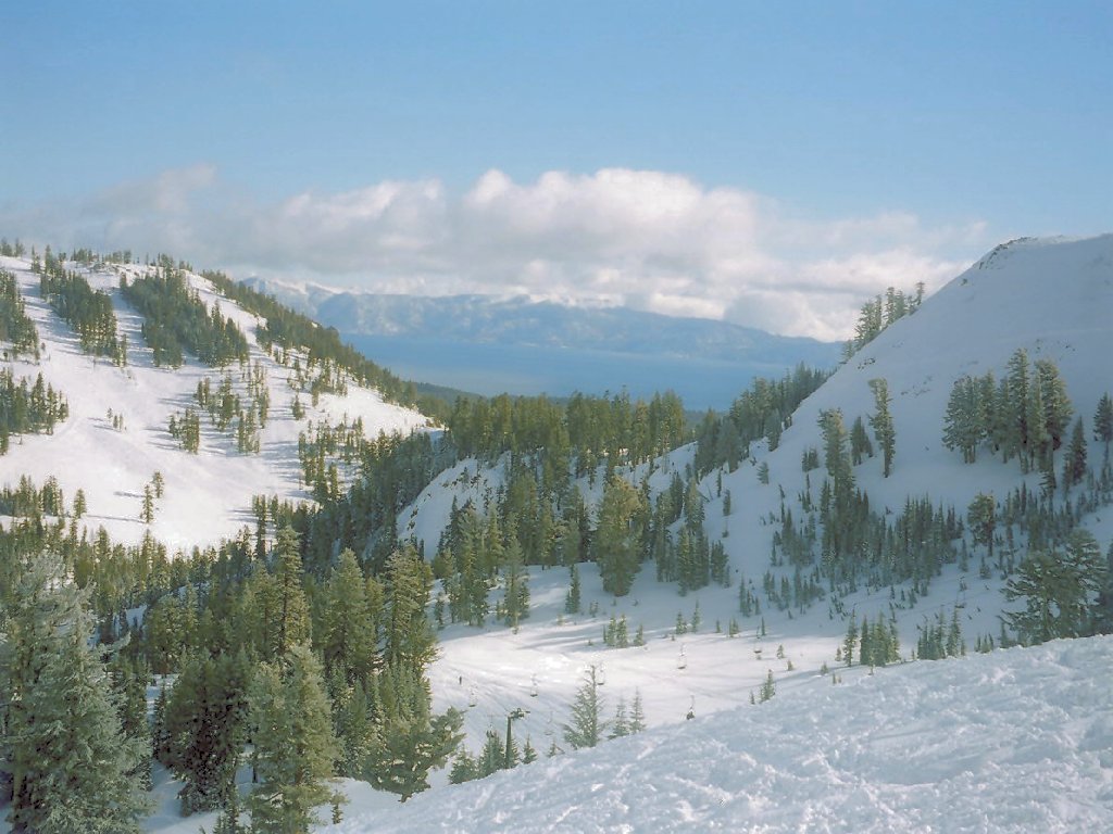 Alpine meadows