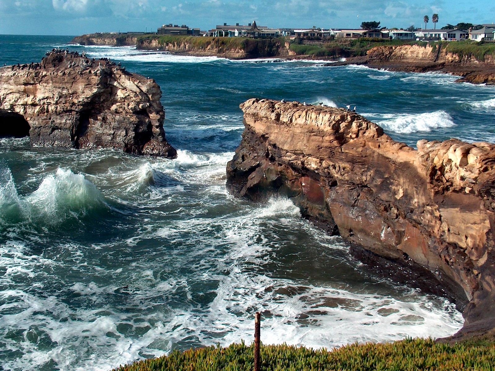 Santa Cruz California 1