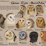 Tyto species chart