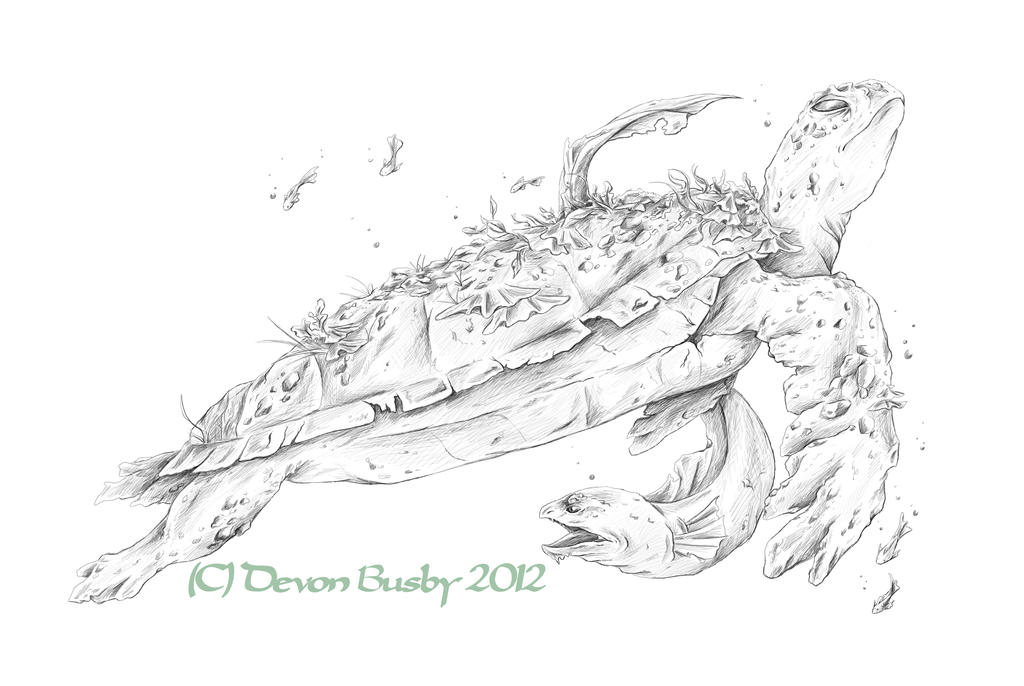 turtle commission by busbyart on DeviantArt