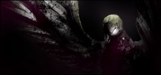 Raven Signature by Pereonium on DeviantArt