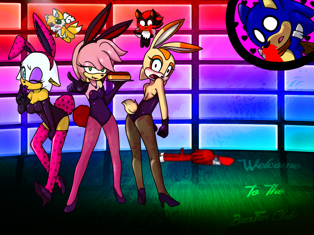 Welcome To The BunFun Club: Sonic Girls.