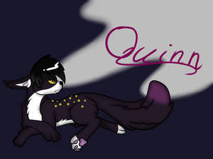 Quinn the Cat... Bat... Wolf.