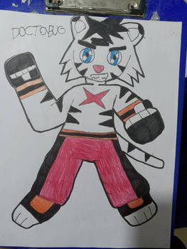 TAIGOR TIGER2
