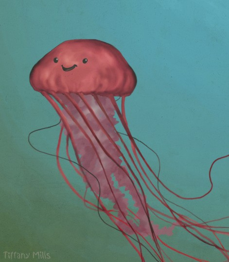 Jellyfish