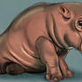 Sketchy hippo