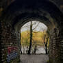 Tunnel to trees