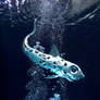Underwater Fish 2