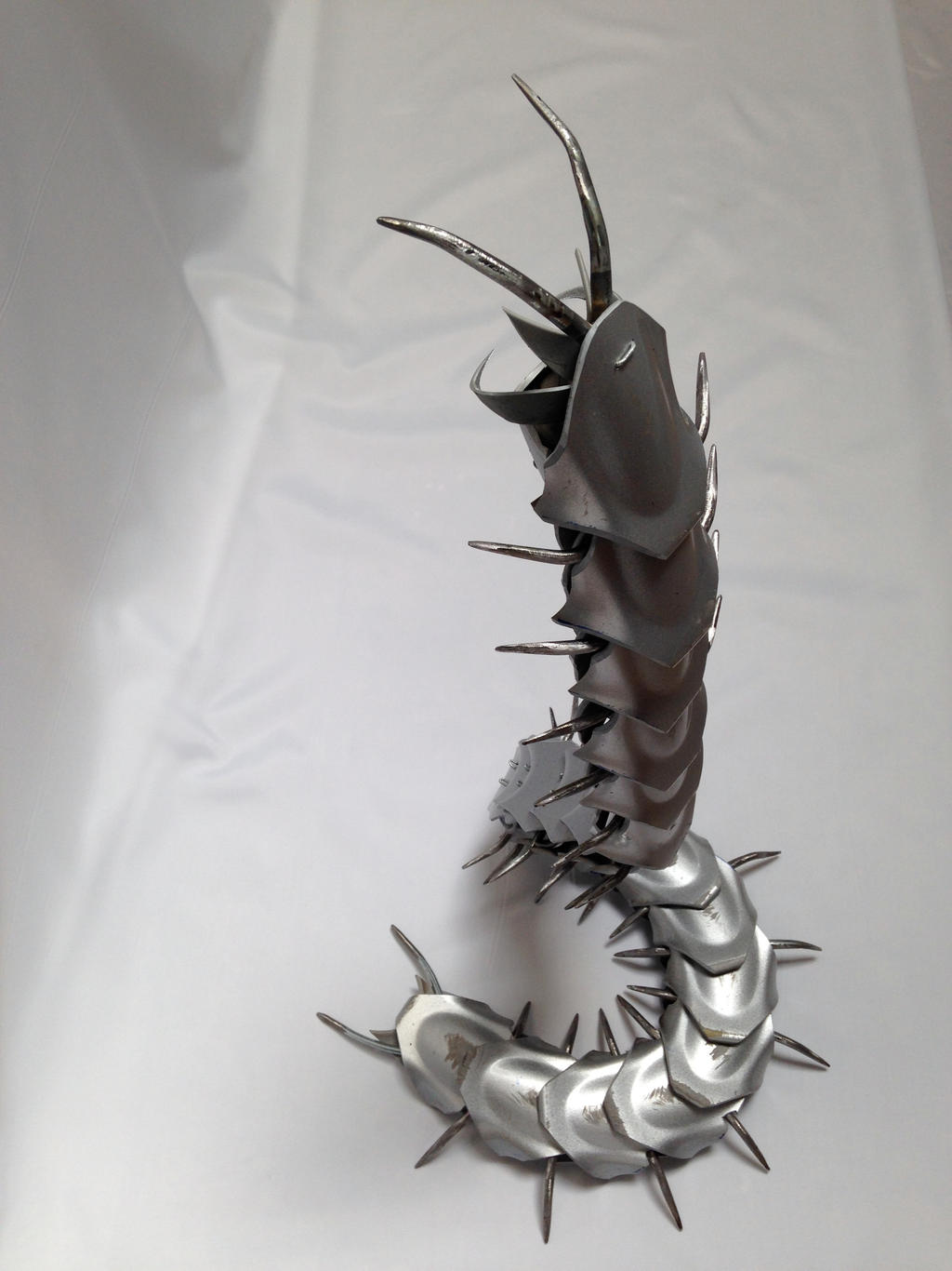 Giant Centipede