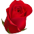 The Rose - Icon