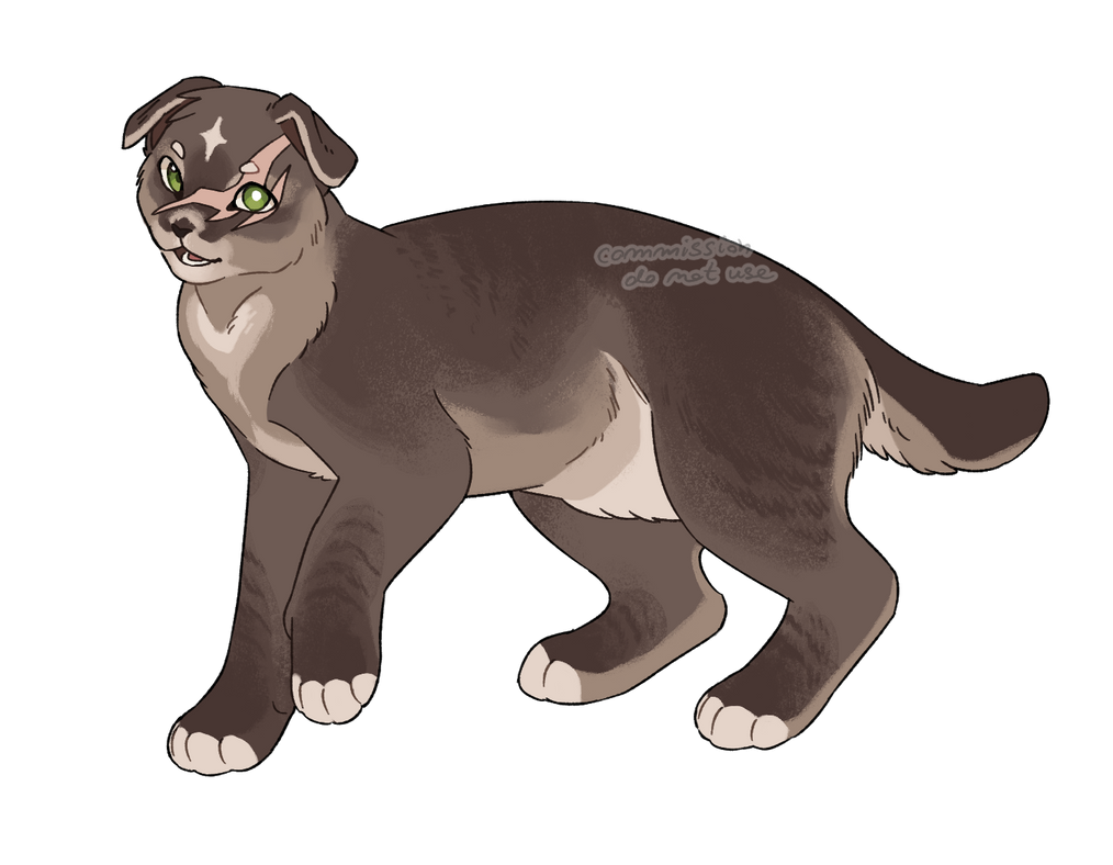 custom design for impastaa