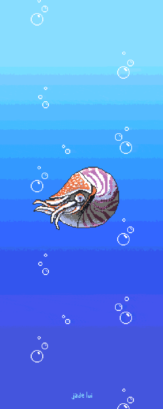 Pixel Nautilus By Owlapin On Deviantart Pixel Nautilus By Owlapin On Deviantart