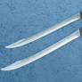 Twin Short Swords