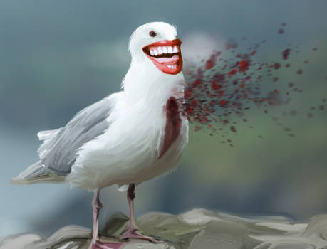 Seagull