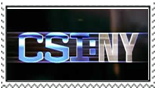 CSI NY Stamp