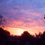 Purple Sky