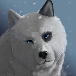 Commission - Wolf bust for Frostsoul