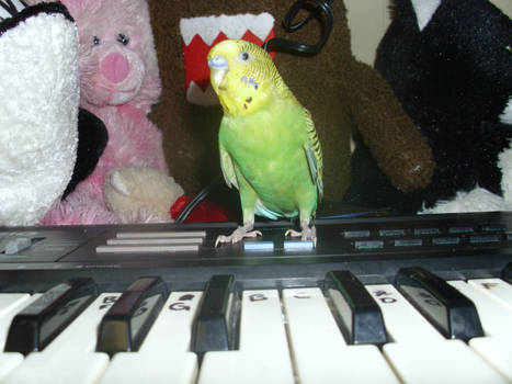 Playing Piano