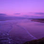 purple beach