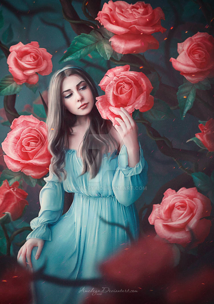 Rose Garden (Alice) by Amedeya