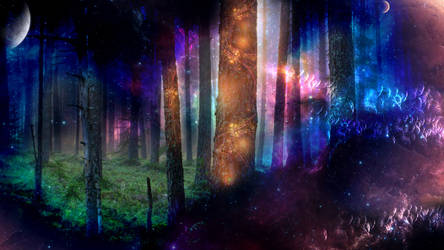 Forest of Space