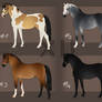 Horse Adopties 2 | OPEN