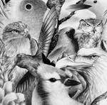 Birds by doant