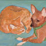 Mo and Moosh in Oil