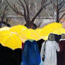 Yellow Umbrellas