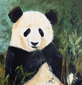 Giant Panda Bear by CarolynYM
