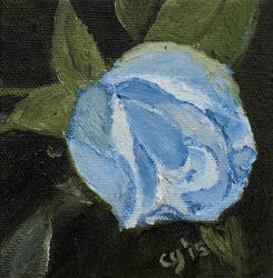 Blue Rose