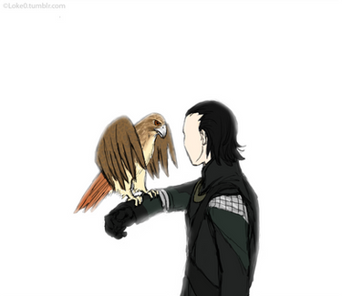 Loki and his hawk