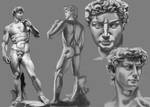 David studies by wla91