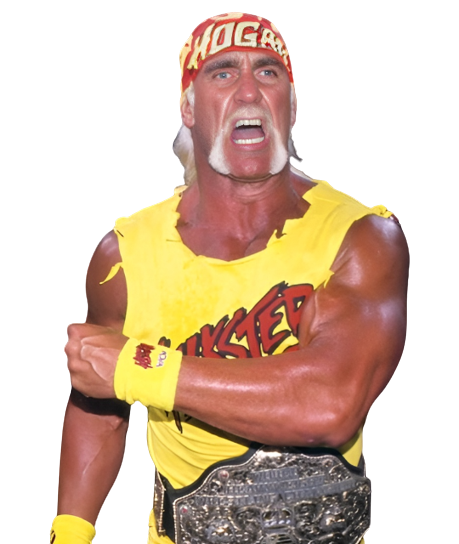 Hogan wcw top