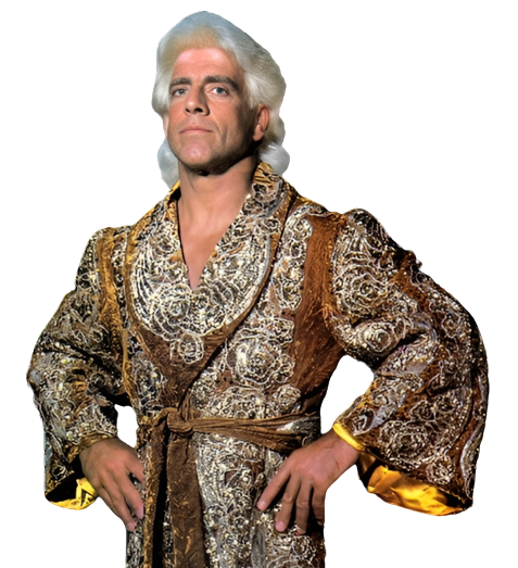 WCW Ric Flair by RandyStorm on DeviantArt
