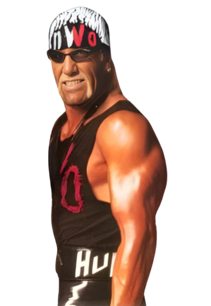 WCW Hollywood Hulk Hogan by RandyStorm on DeviantArt